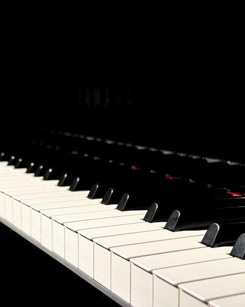 Piano Lessons in Springfield Missouri